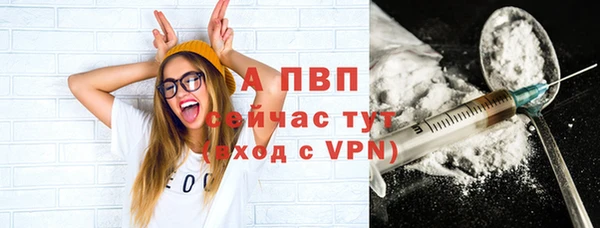дживик Козельск