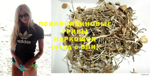 соль ск Кодинск