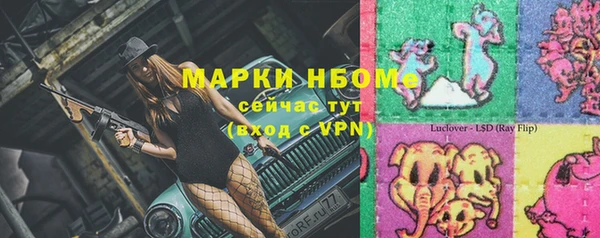 дживик Козельск