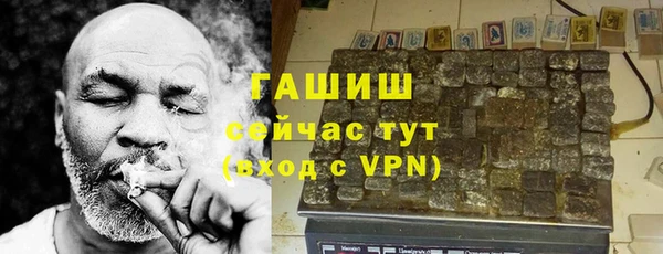 дживик Козельск
