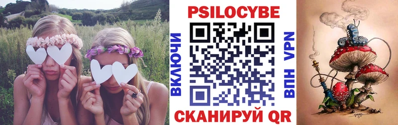 Псилоцибиновые грибы ЛСД  Пушкино 