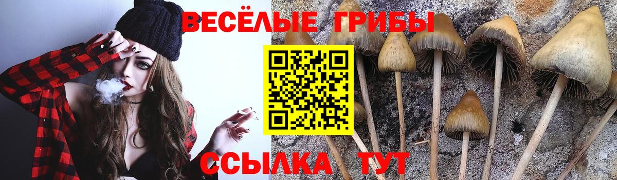 Псилоцибиновые грибы ЛСД Пушкино